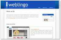 website by weblingo